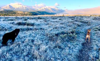 Ashlee R.'s photo of camping with pets at Henrys Lake State Park Campground in Idaho