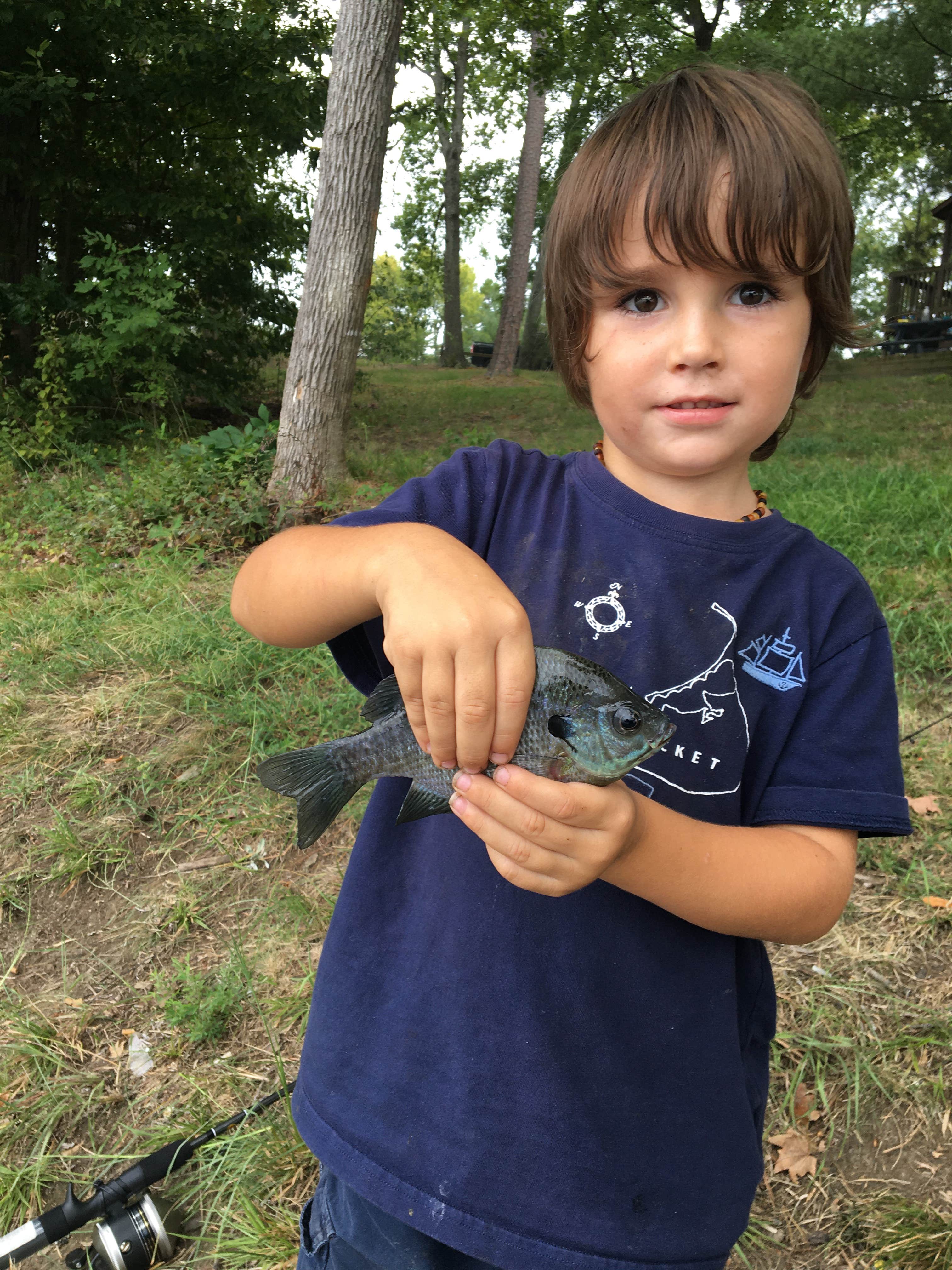Camper-submitted photo at Hyco Lake State Park Campground near Graham, NC
