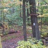 Review photo of October Mountain State Forest by Alan , September 25, 2021