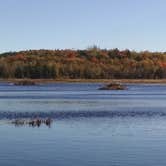 Review photo of October Mountain State Forest by Alan , September 25, 2021