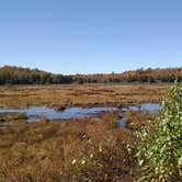 Review photo of October Mountain State Forest by Alan , September 25, 2021