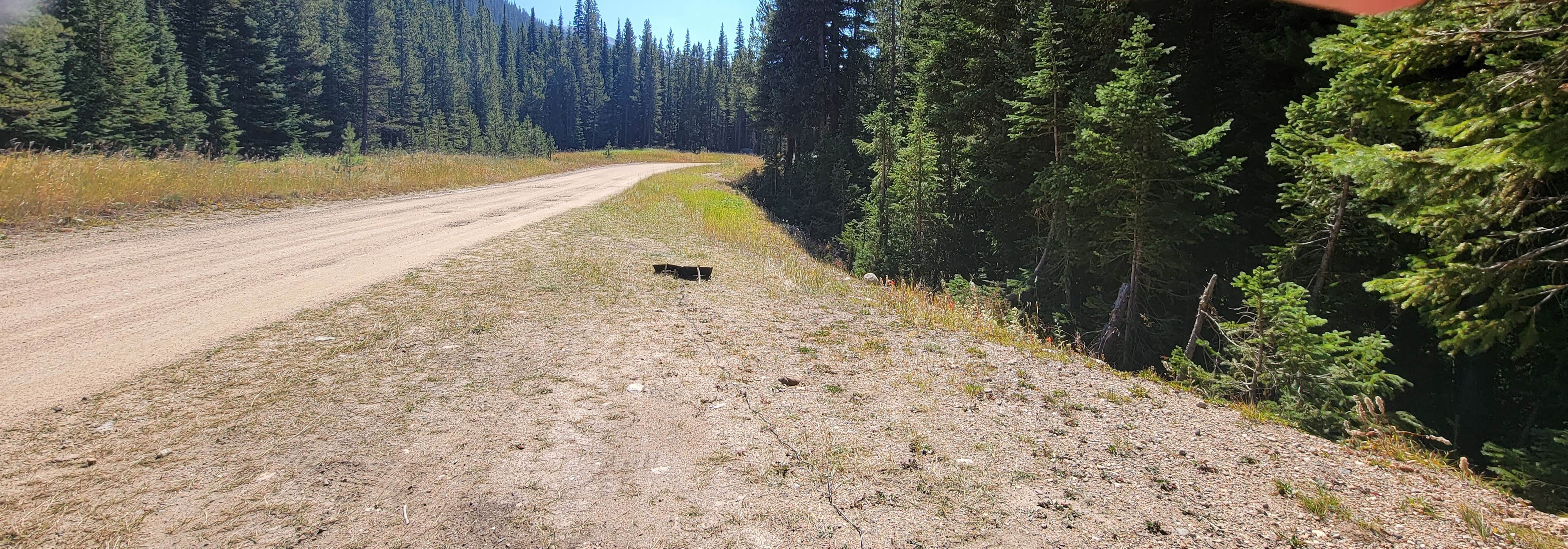 Camper submitted image from The Lost Site - Dispersed Campsite - 2