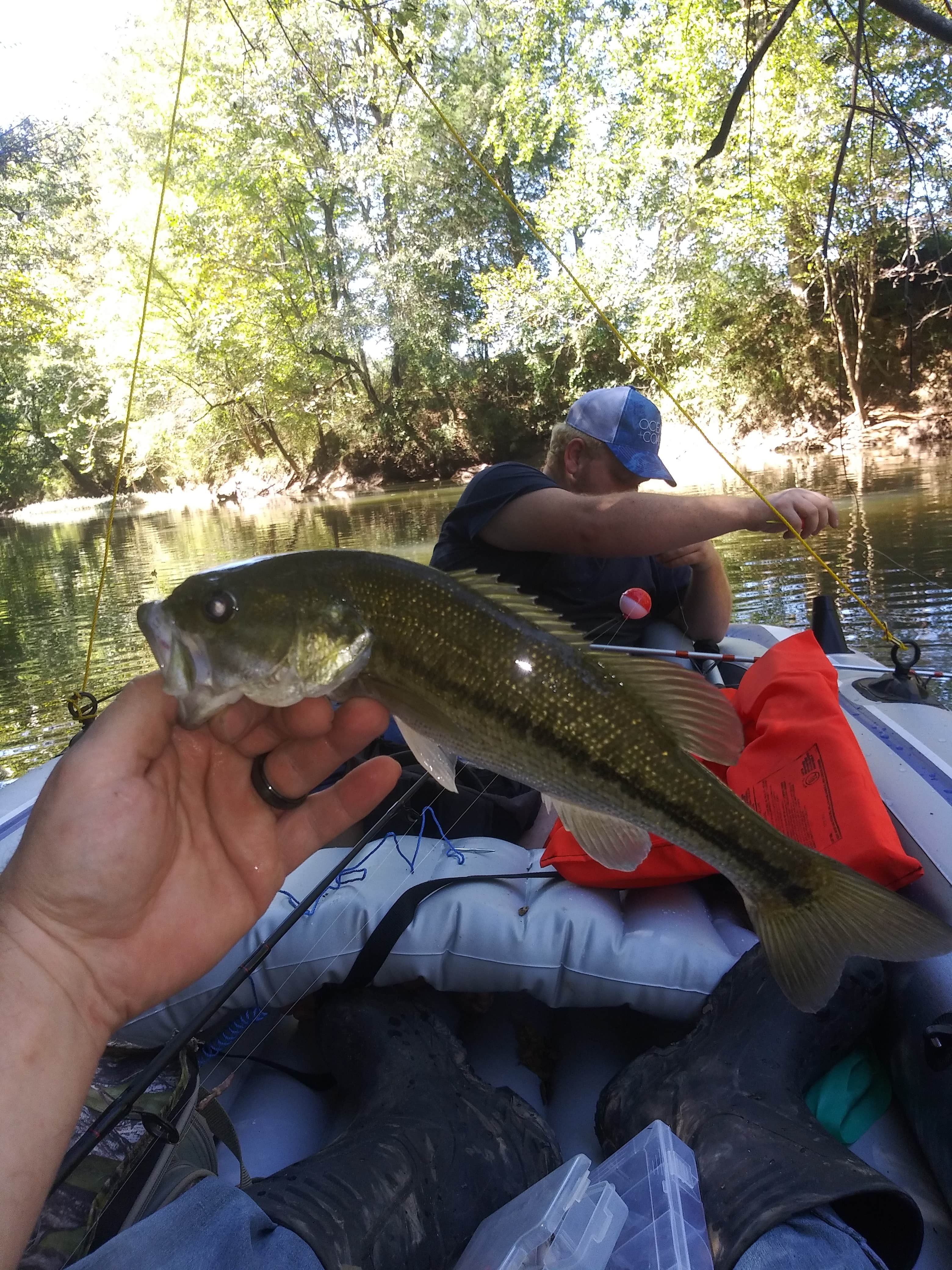 Camper submitted image from Big Canoe Creek Outfitters - 5