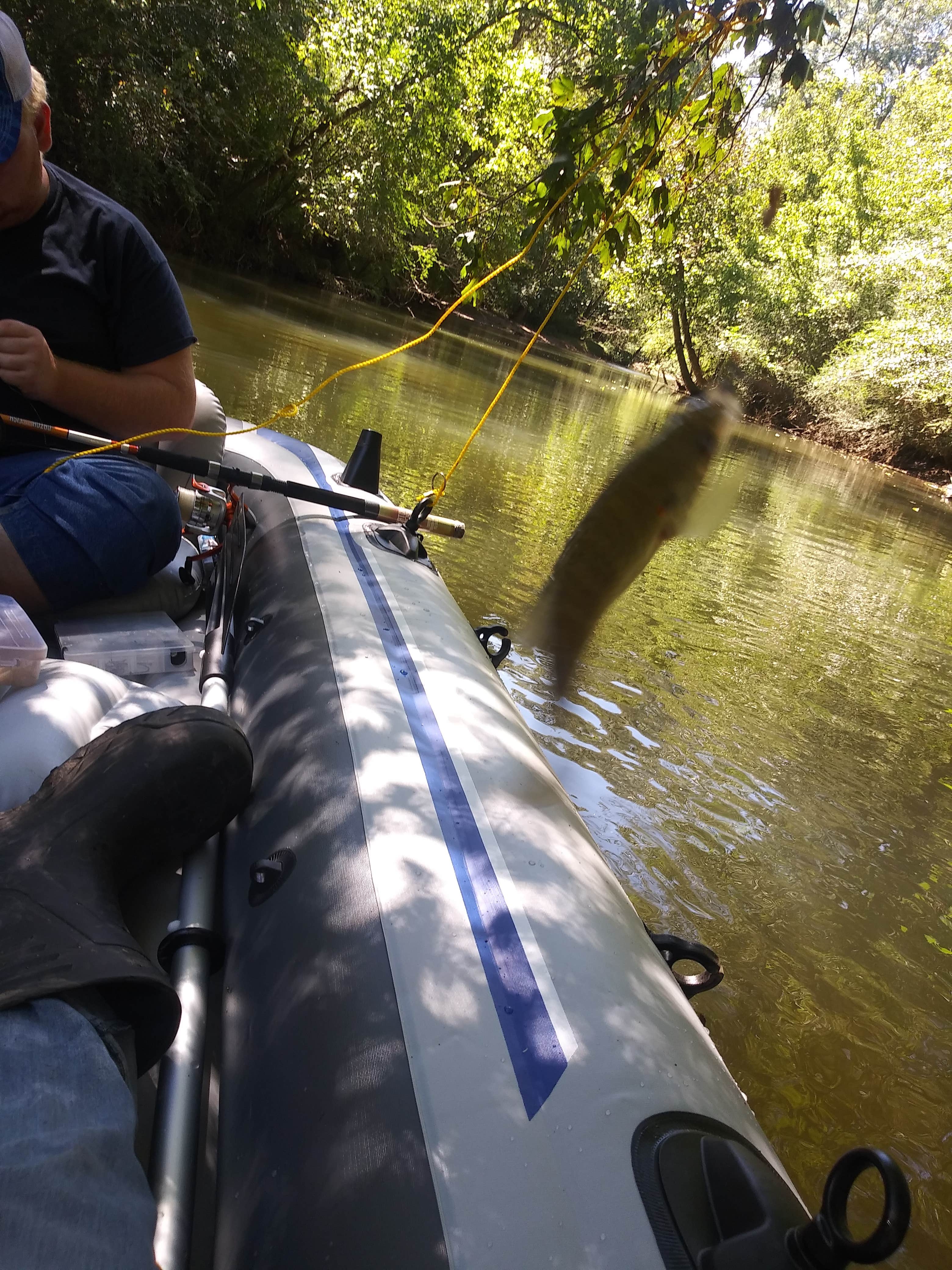 Camper-submitted photo at Big Canoe Creek Outfitters near Warrior, AL