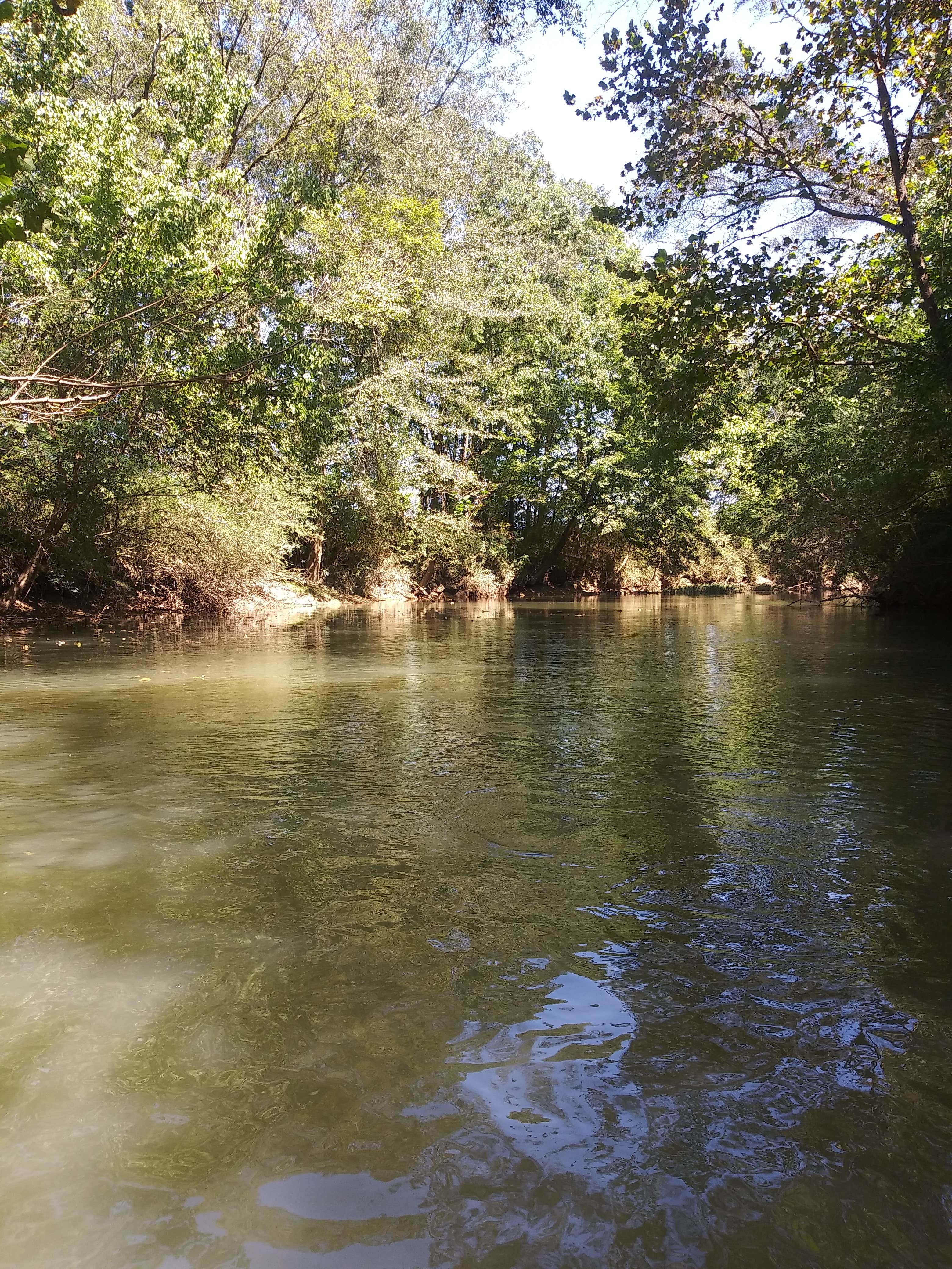 Camper-submitted photo at Big Canoe Creek Outfitters near Warrior, AL