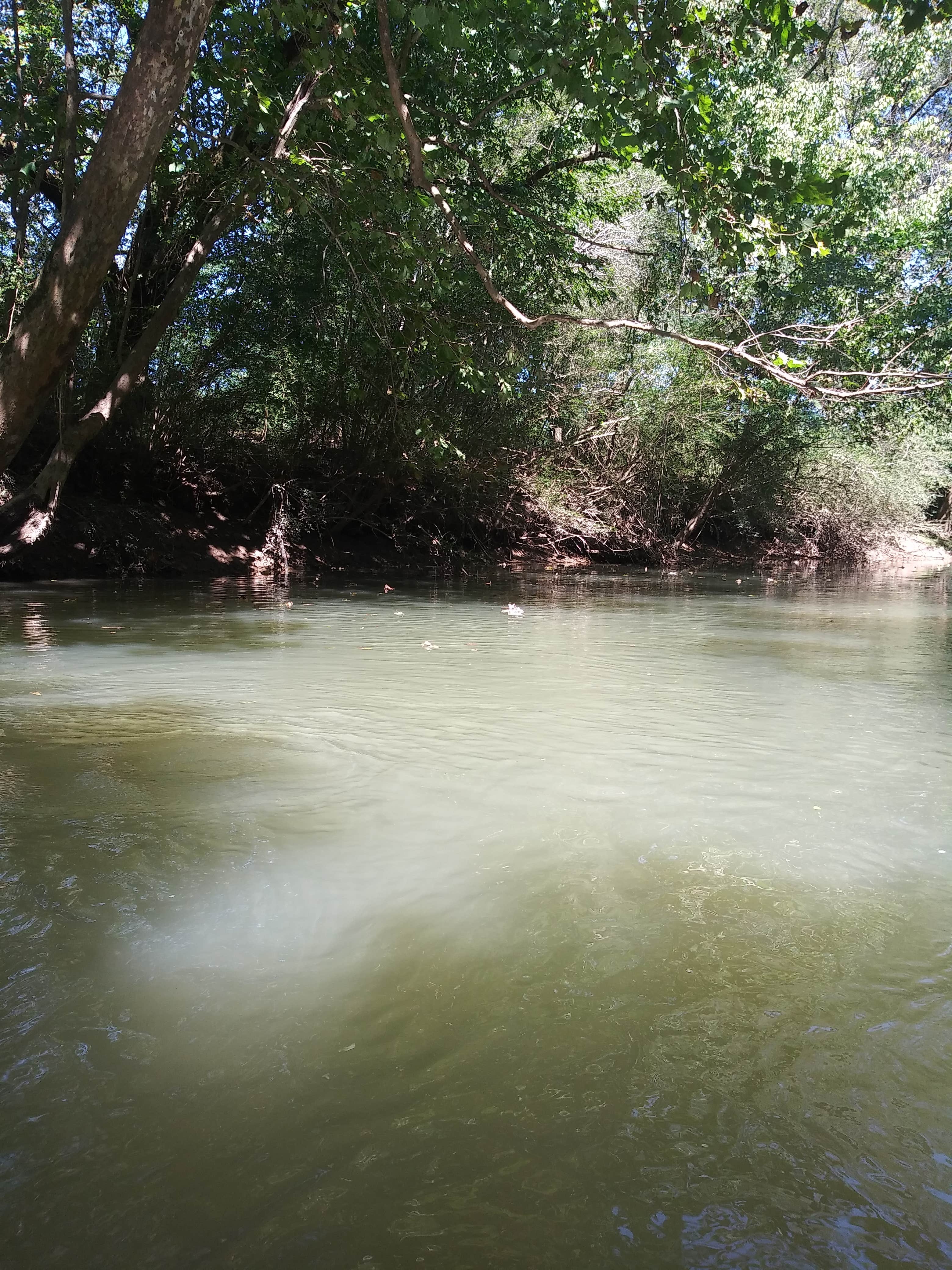 Camper-submitted photo at Big Canoe Creek Outfitters near Warrior, AL