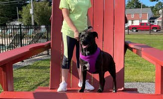 Sheri D.'s photo of camping with pets at Old Orchard Beach Campground near Ogunquit, ME
