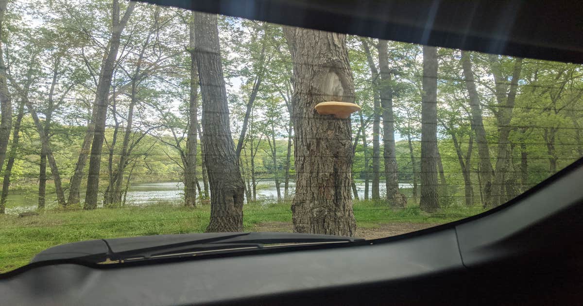 Condon Lake Camping Bitely, MI