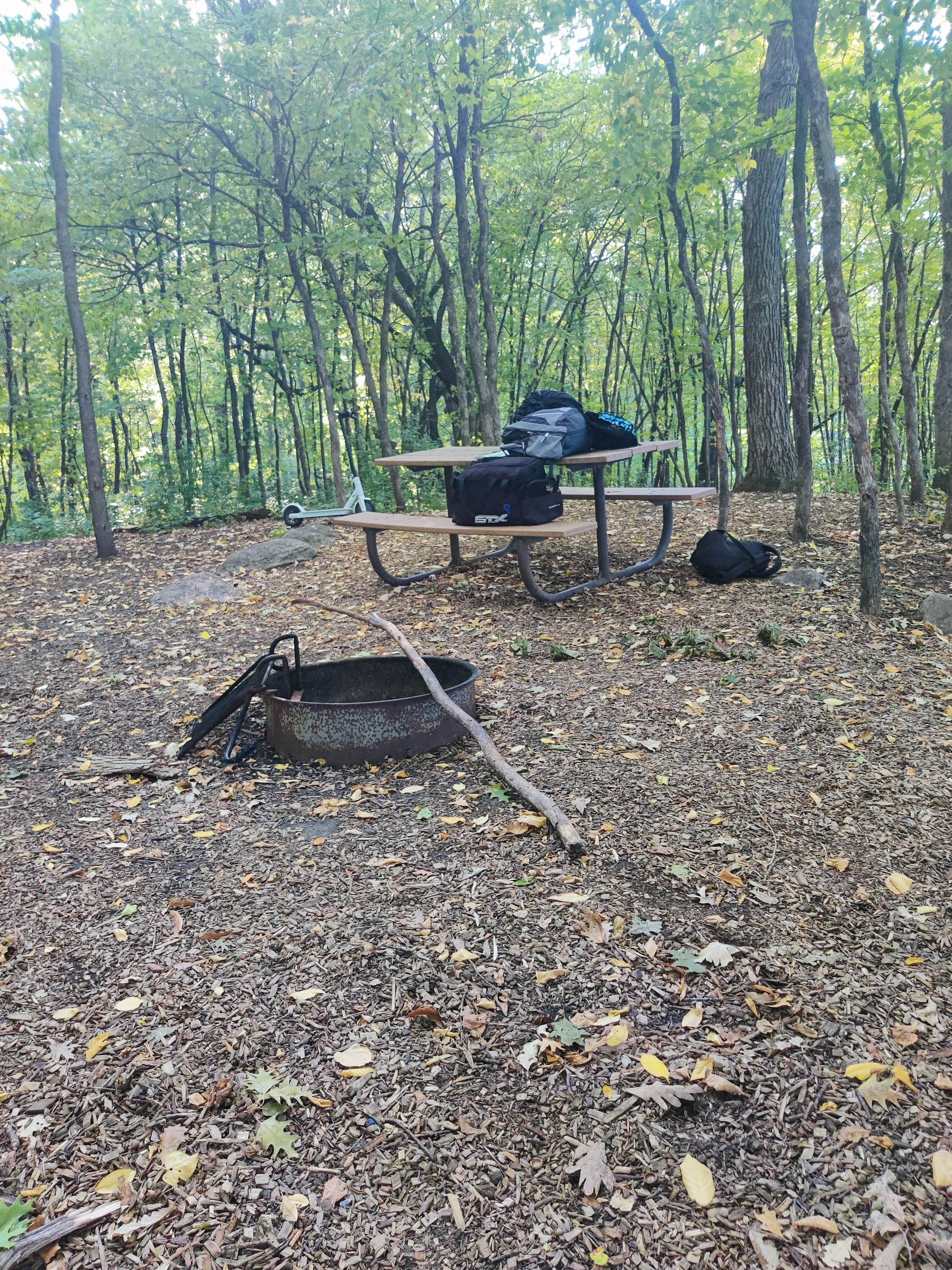 Camper submitted image from Cleary Lake Regional Park - 3