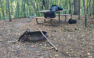 Clare L.'s photo at Cleary Lake Regional Park near Cannon Falls, MN
