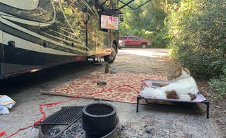 Eric F.'s photo of camping with pets at Edisto Beach State Park Campground near Mount Pleasant, SC