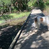 Review photo of Edisto Beach State Park Campground by Eric F., September 25, 2021