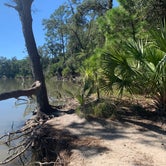 Review photo of Edisto Beach State Park Campground by Eric F., September 25, 2021