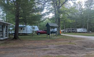 Camping near Hungerford Equestrian Group Campsite: Pickerel Lakeside Campground and Cottages, Bitely, Michigan