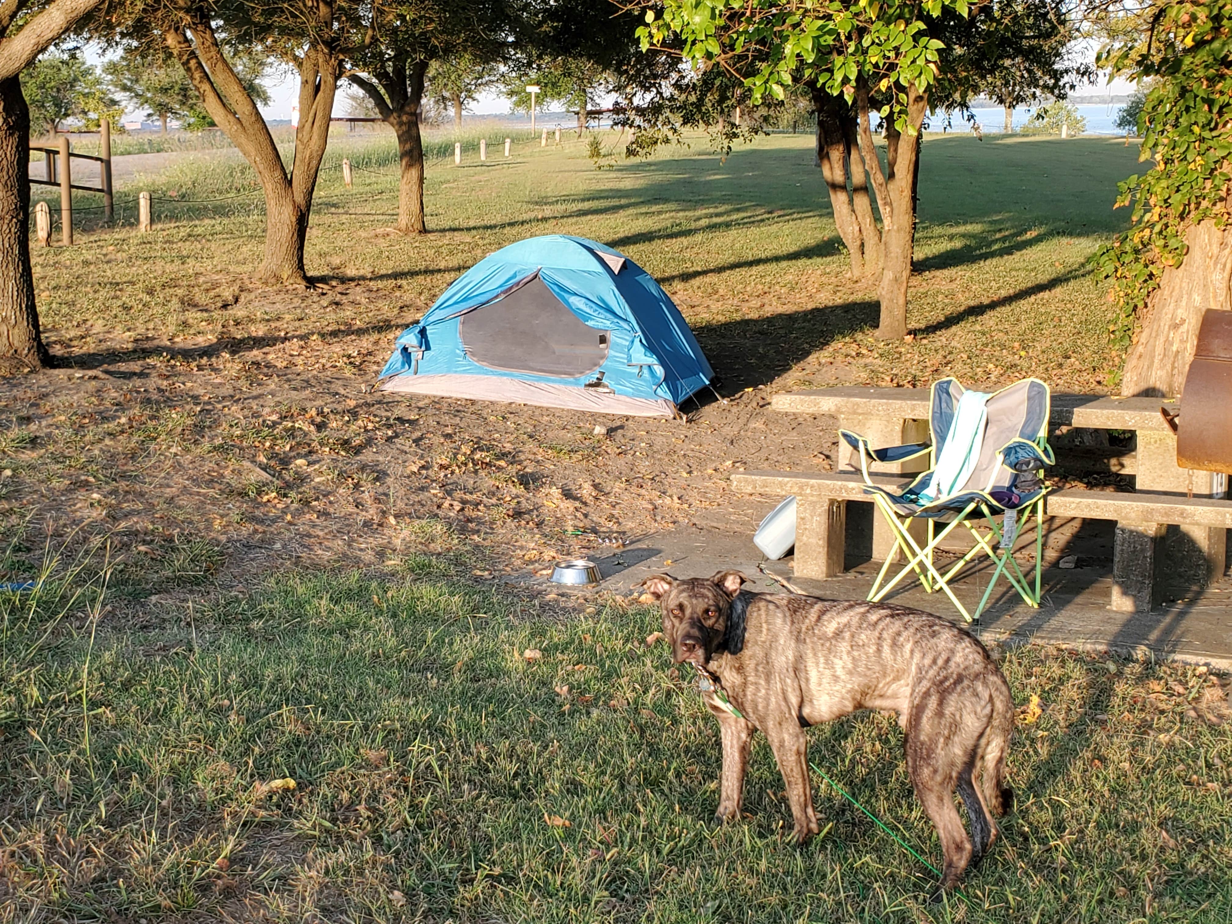 Camper-submitted photo at COE Lavon Lake Lavonia near Rowlett, TX