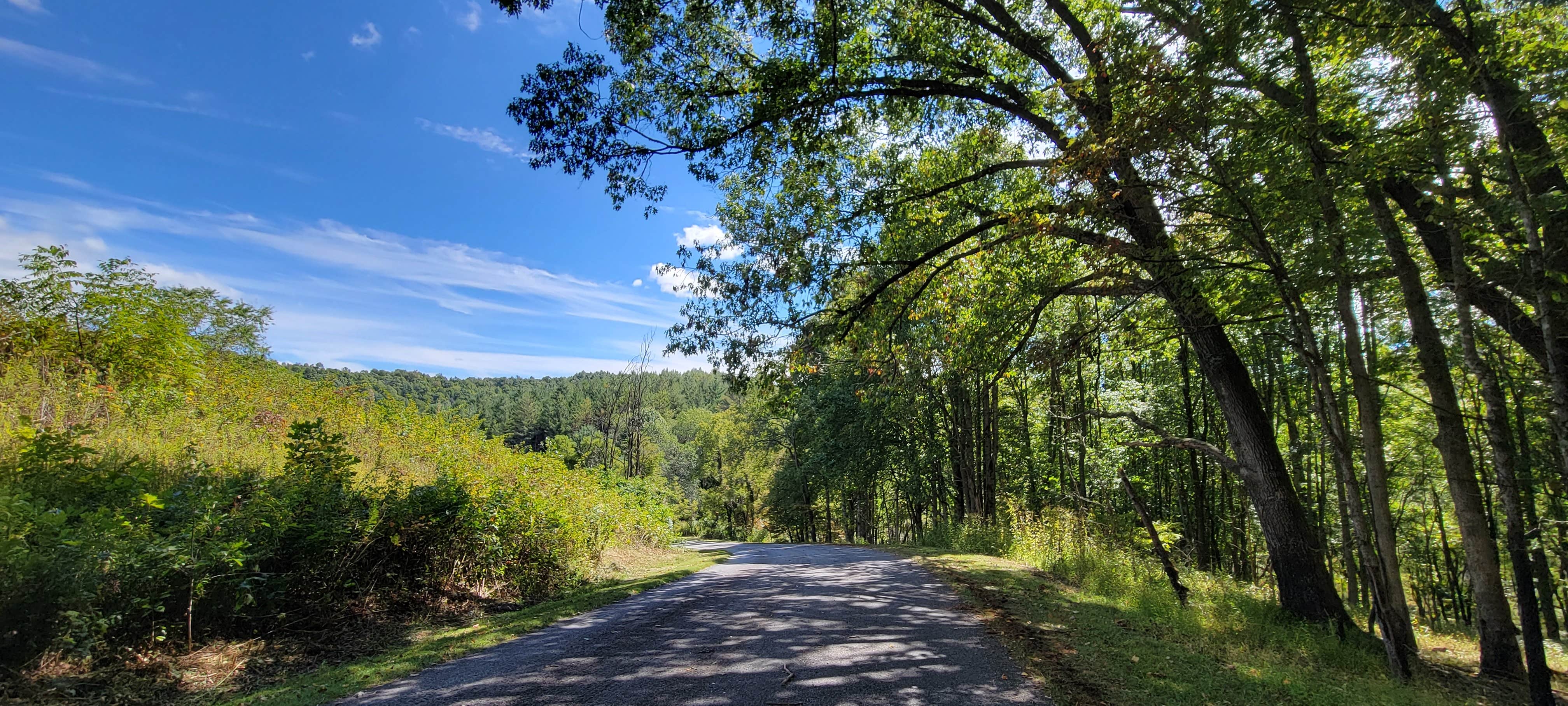 Camper-submitted photo at Wagoner — New River State Park near Jefferson, NC