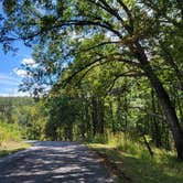 Review photo of Wagoner — New River State Park by Brian R., September 25, 2021