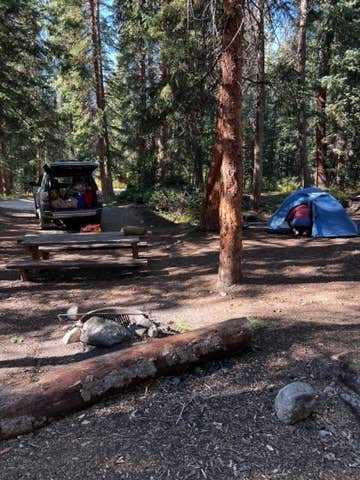 Joel F.'s photo of tent camping at Portal Campground near Pitkin, CO
