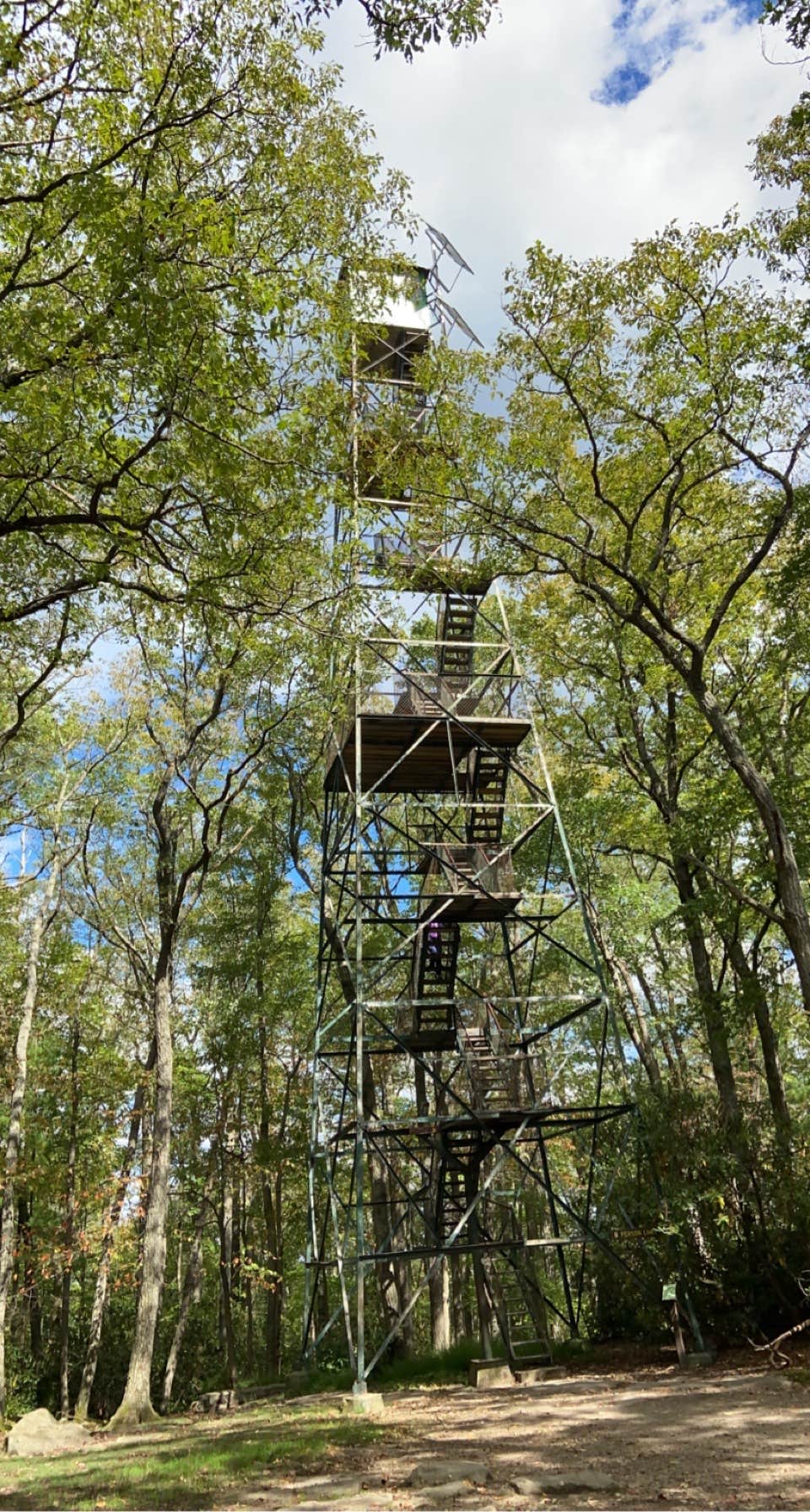 Tim W.'s photo of a cabin at Cook Forest State Park Campground & Cabins near Clymer, PA