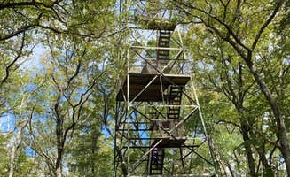 Tim W.'s photo of a cabin at Cook Forest State Park Campground & Cabins near Weedville, PA