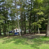 Review photo of Cook Forest State Park Campground by Tim W., September 26, 2021