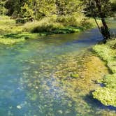 Review photo of Alley Spring Campground — Ozark National Scenic Riverway by Wes U., September 26, 2021