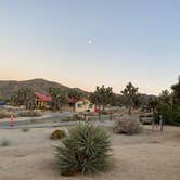 Review photo of Black Rock Campground — Joshua Tree National Park by Olivia K., September 26, 2021