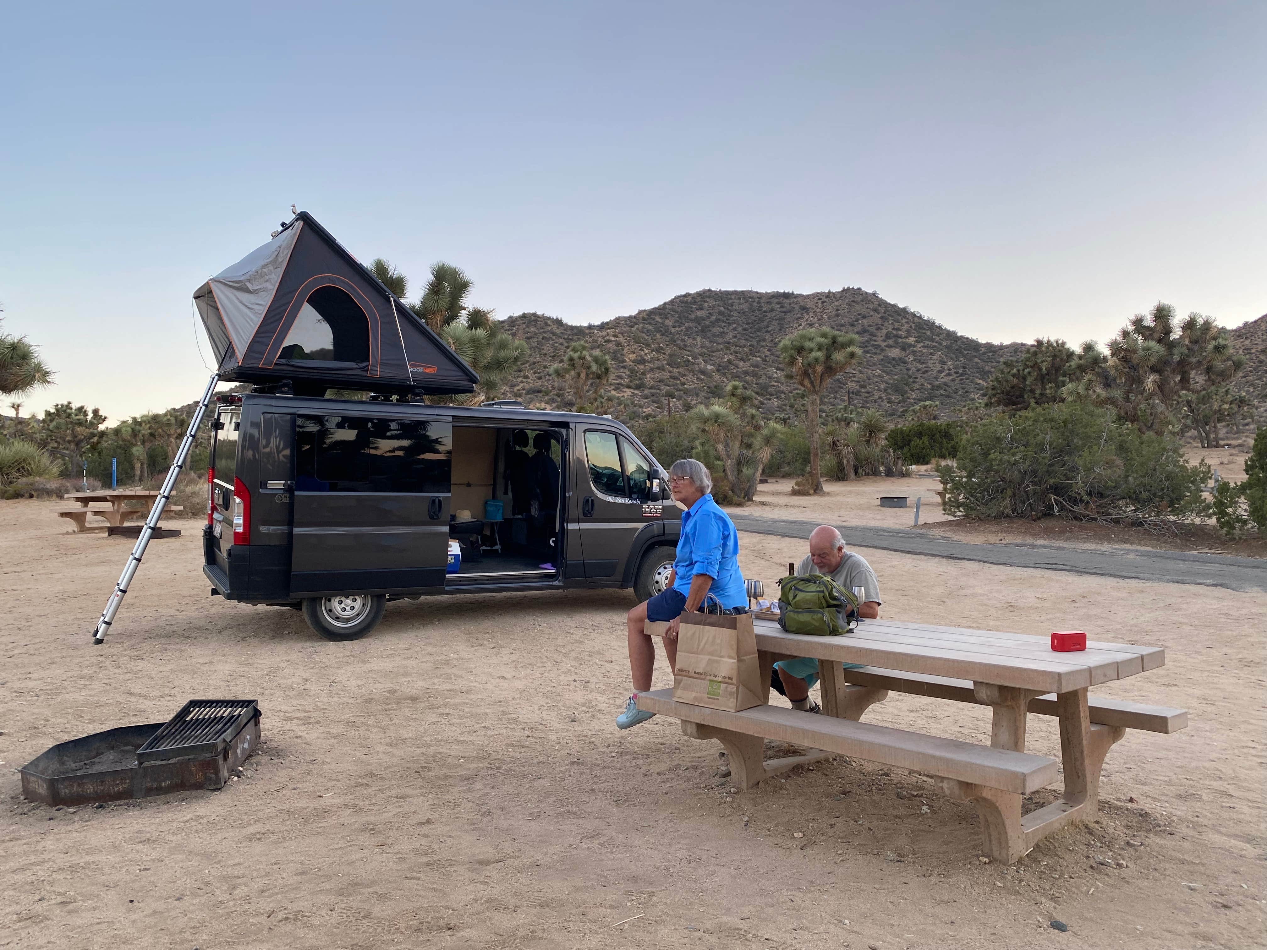 Olivia K.'s photo of rv camping at Black Rock Campground — Joshua Tree National Park near Amboy, CA