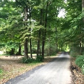 Review photo of Worthington State Forest Campground — Delaware Water Gap National Recreation Area by Lawrence P., September 26, 2021