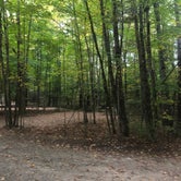 Review photo of Maple Haven Campground by Bigfishdiveclub C., September 26, 2021