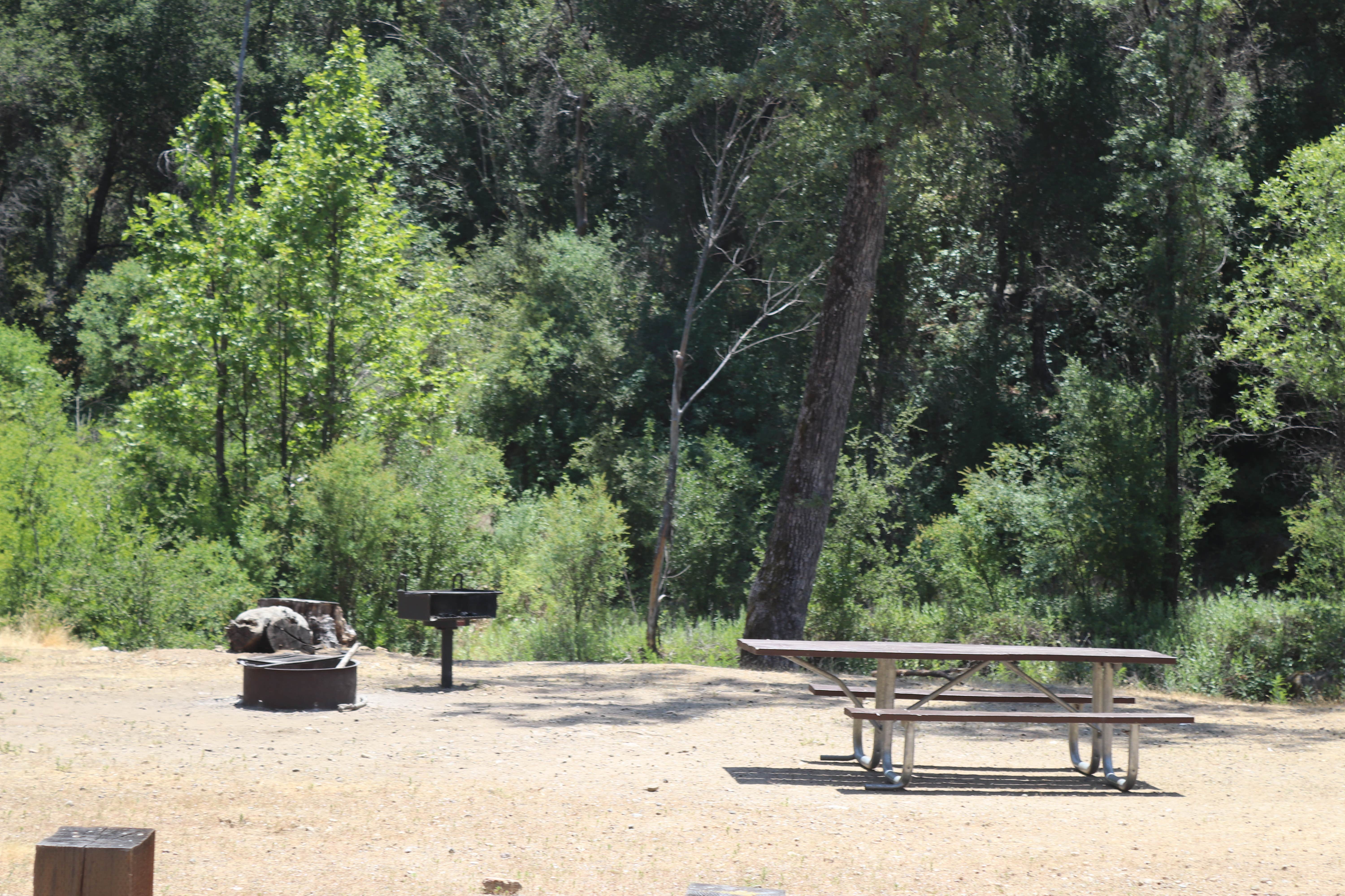 Camper submitted image from Ponderosa Campground - 4