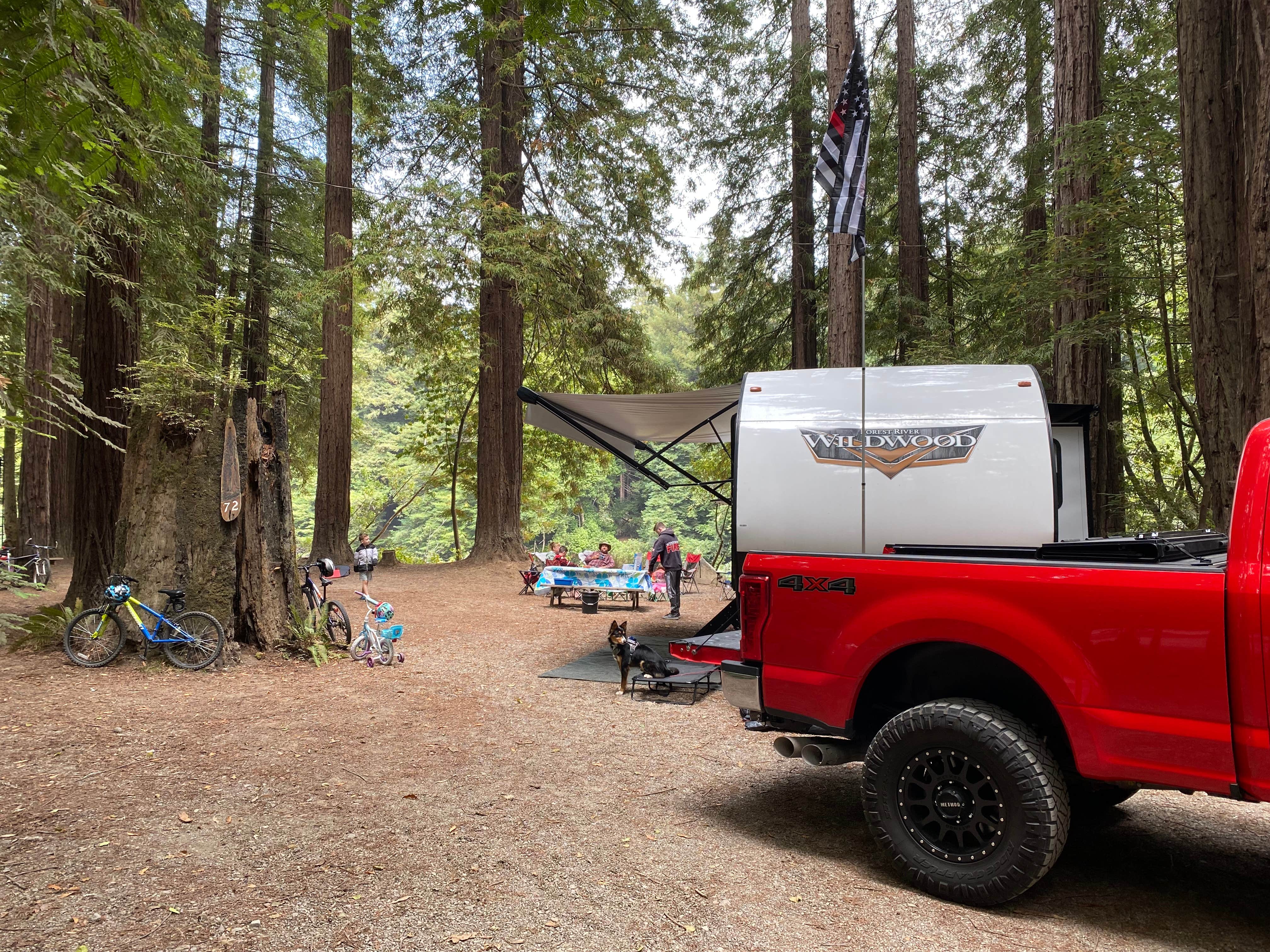 Nick T.'s photo at Gualala River Redwood Park near Gualala, CA