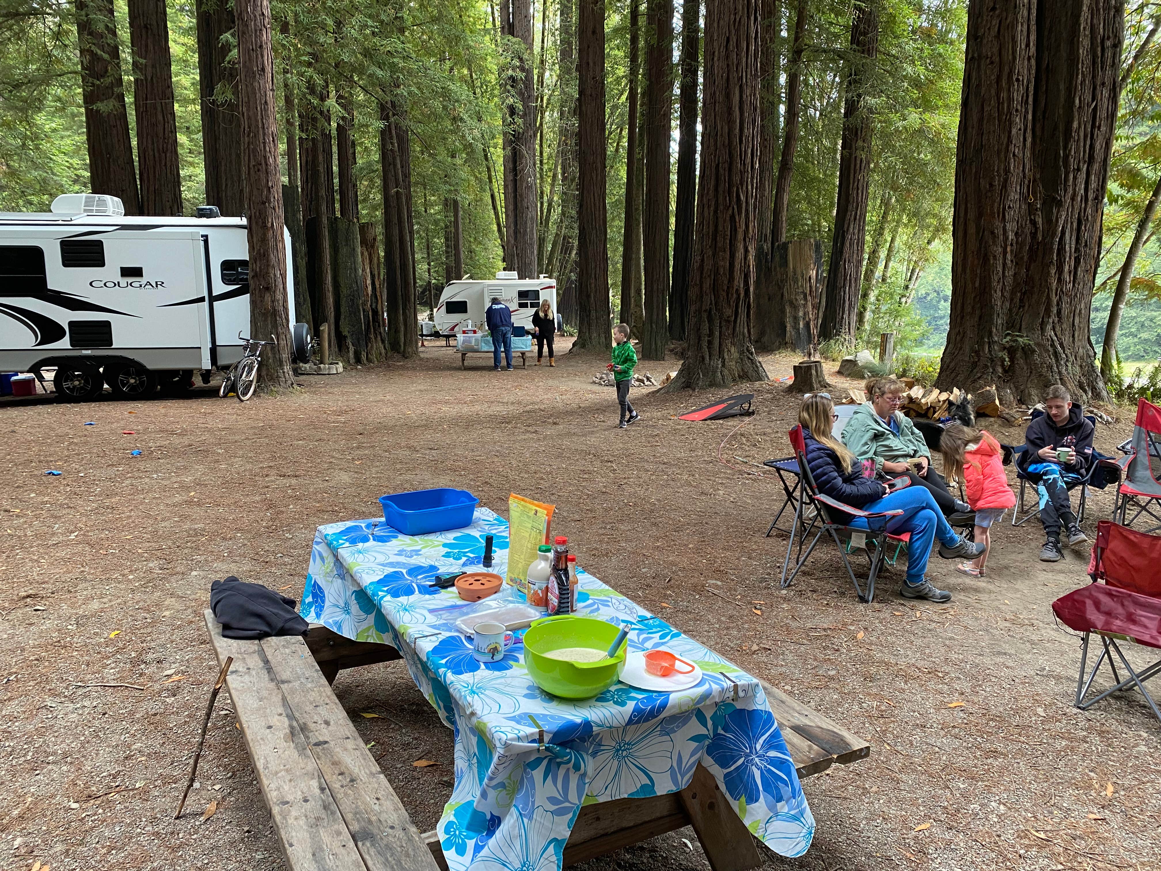 Nick T.'s photo at Gualala River Redwood Park near Sea Ranch, CA