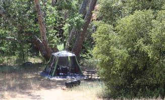 Annie C.'s photo at Ponderosa Campground near San Lucas, CA