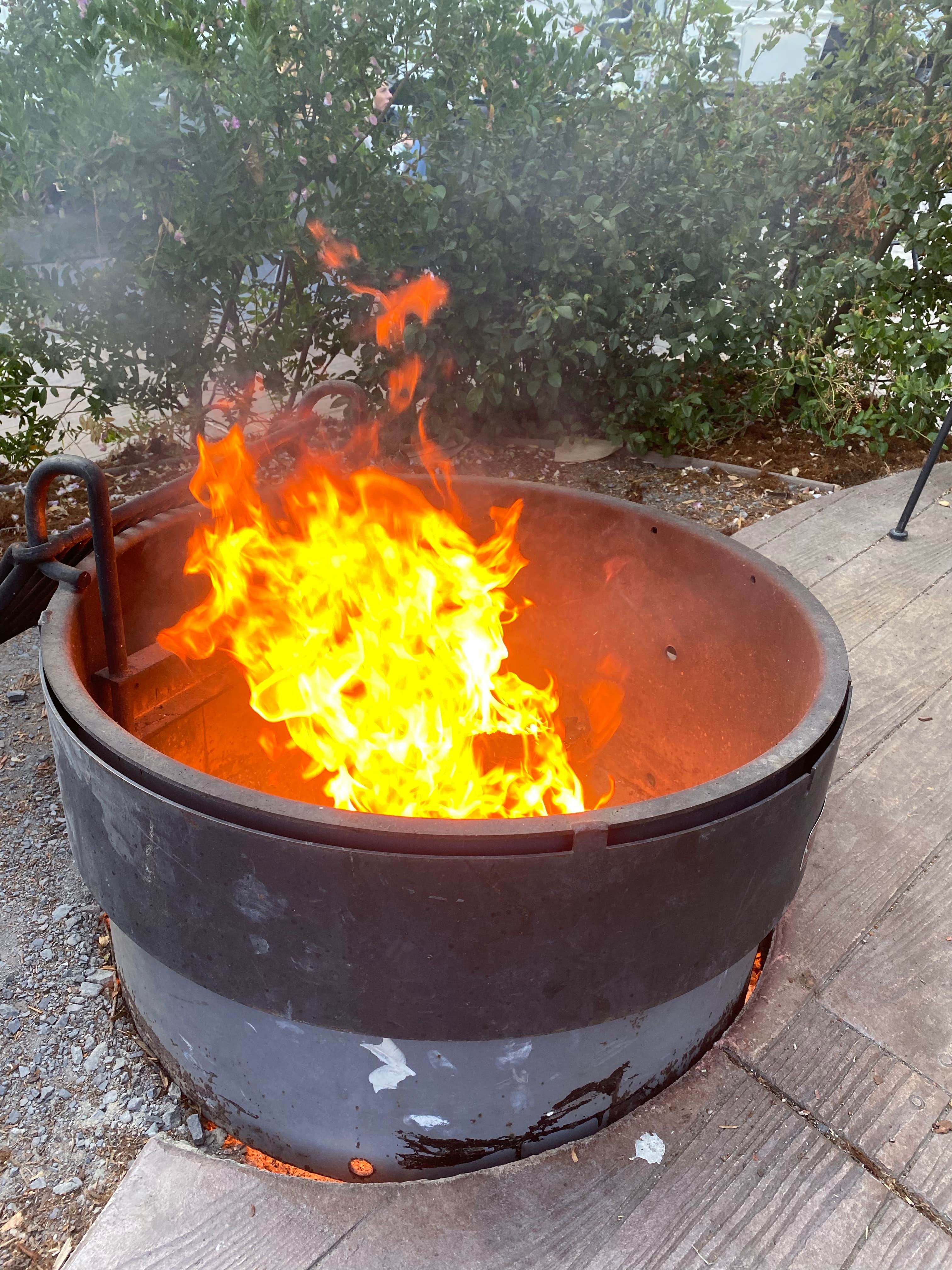 Camper submitted image from San Francisco North-Petaluma KOA - 4
