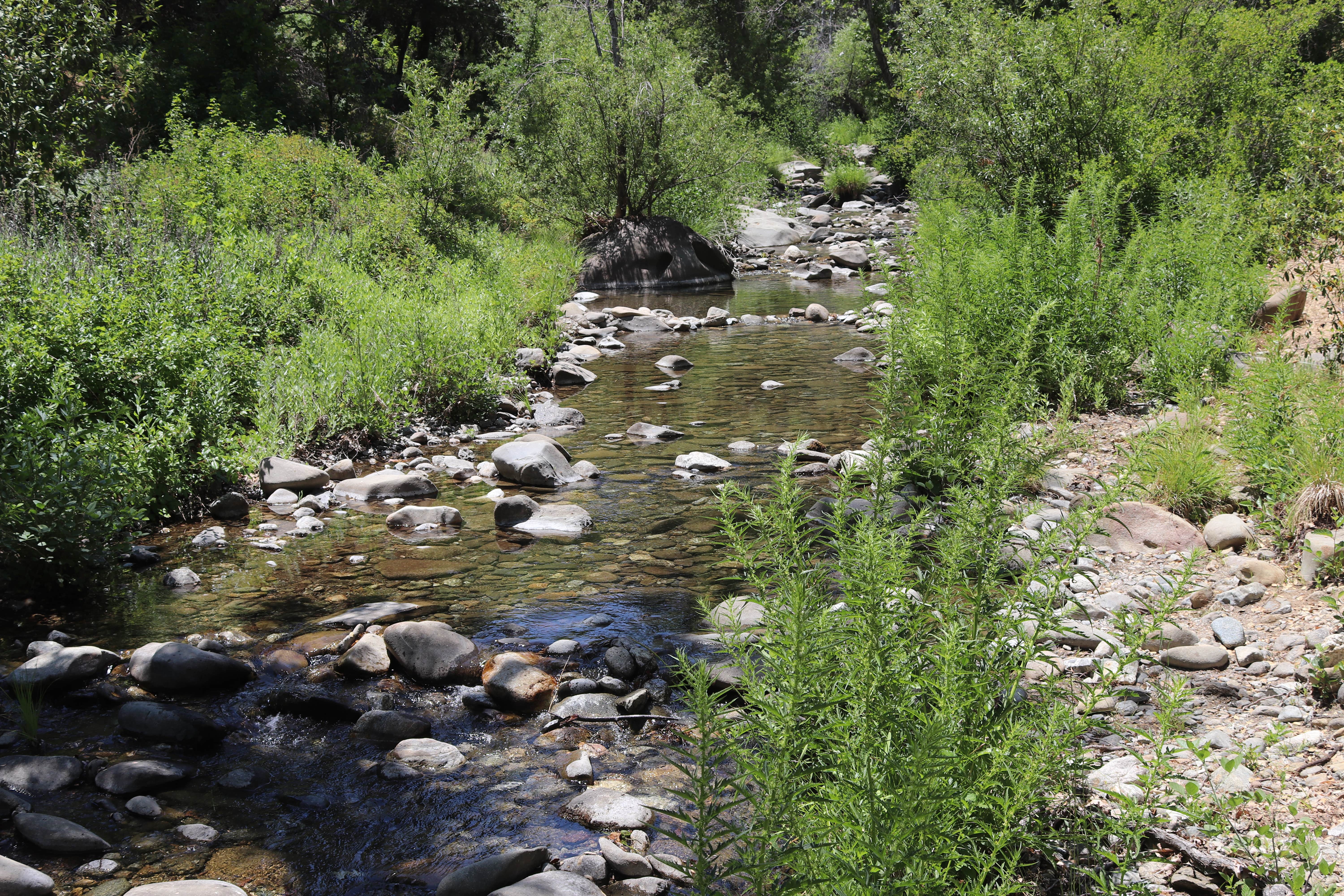 Camper submitted image from Ponderosa Campground - 3