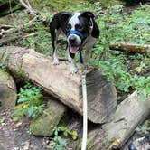 Review photo of Cox Hollow Campground — Governor Dodge State Park by kassondra T., September 26, 2021