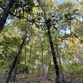 Review photo of Heavener Runestone Park by Amy M., September 26, 2021