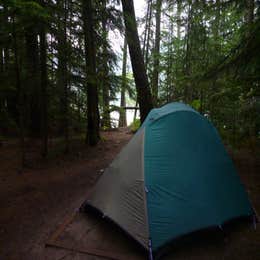 Public Campgrounds: Fish Creek Campground — Glacier National Park