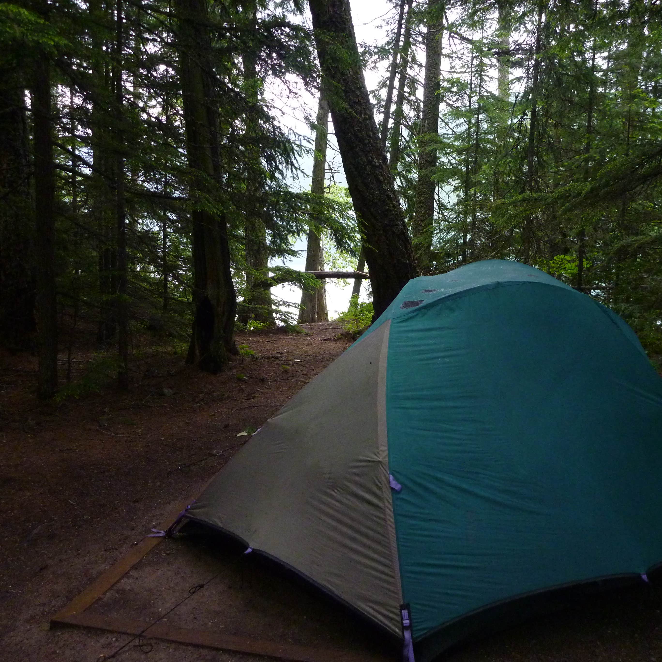 Fish Creek Campground — Glacier National Park