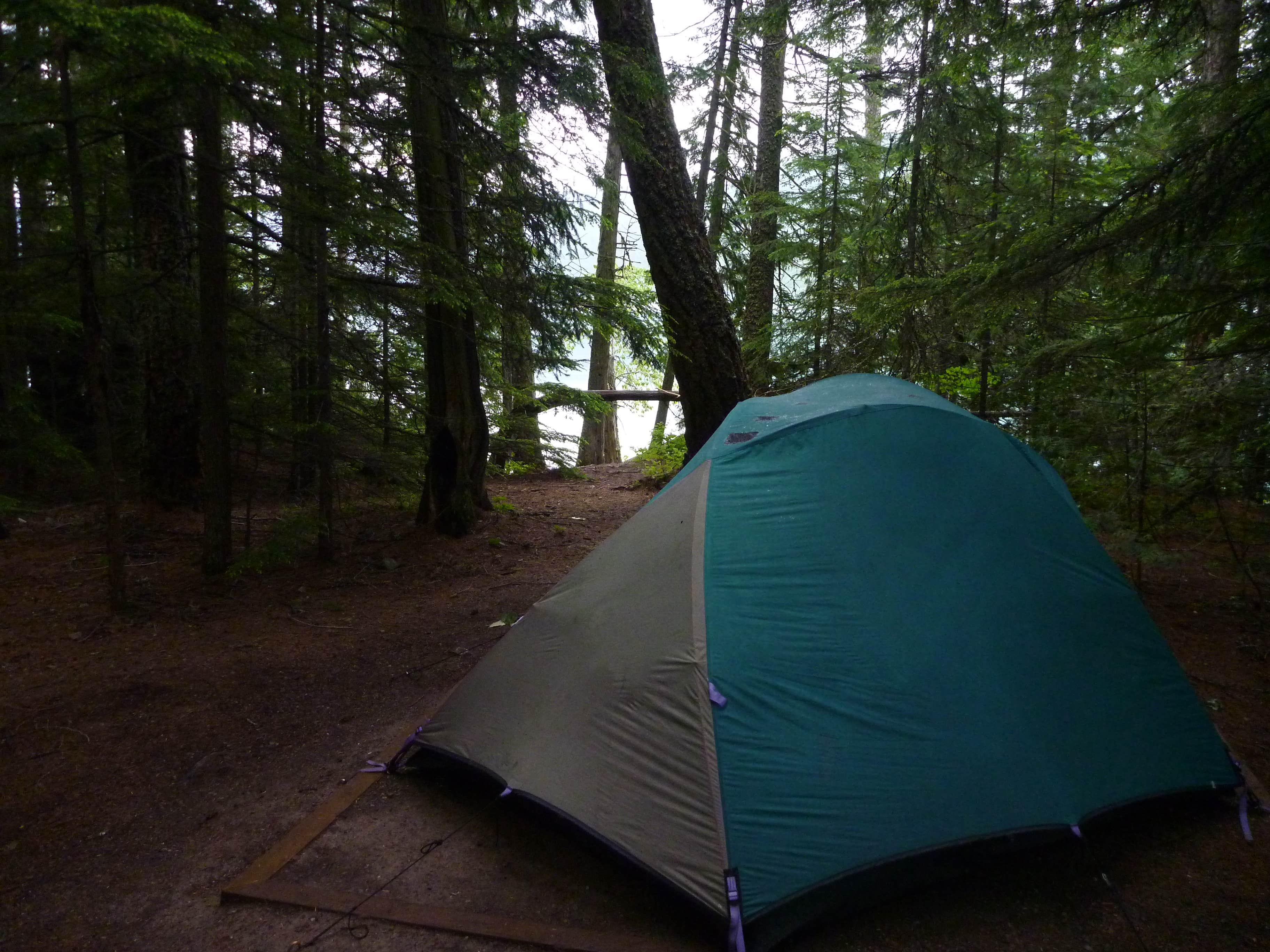 Camper submitted image from Fish Creek Campground — Glacier National Park - 1