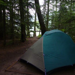 Public Campgrounds: Fish Creek Campground — Glacier National Park