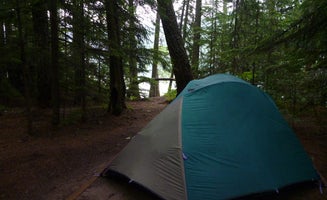 Camper-submitted photo from Fish Creek Campground — Glacier National Park