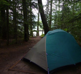 Camper-submitted photo from Fish Creek Campground — Glacier National Park
