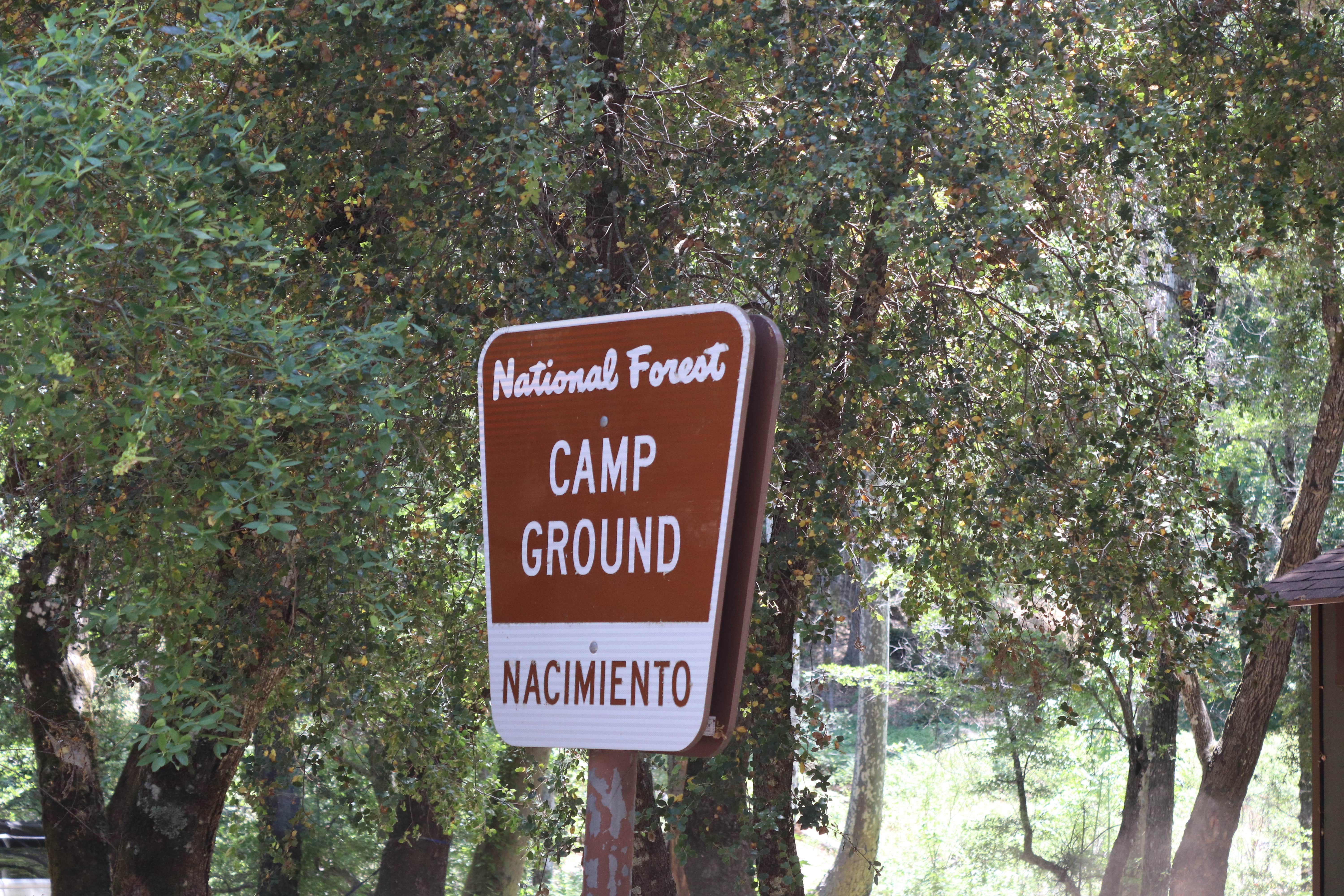 Camper submitted image from Nacimiento Campground - 3