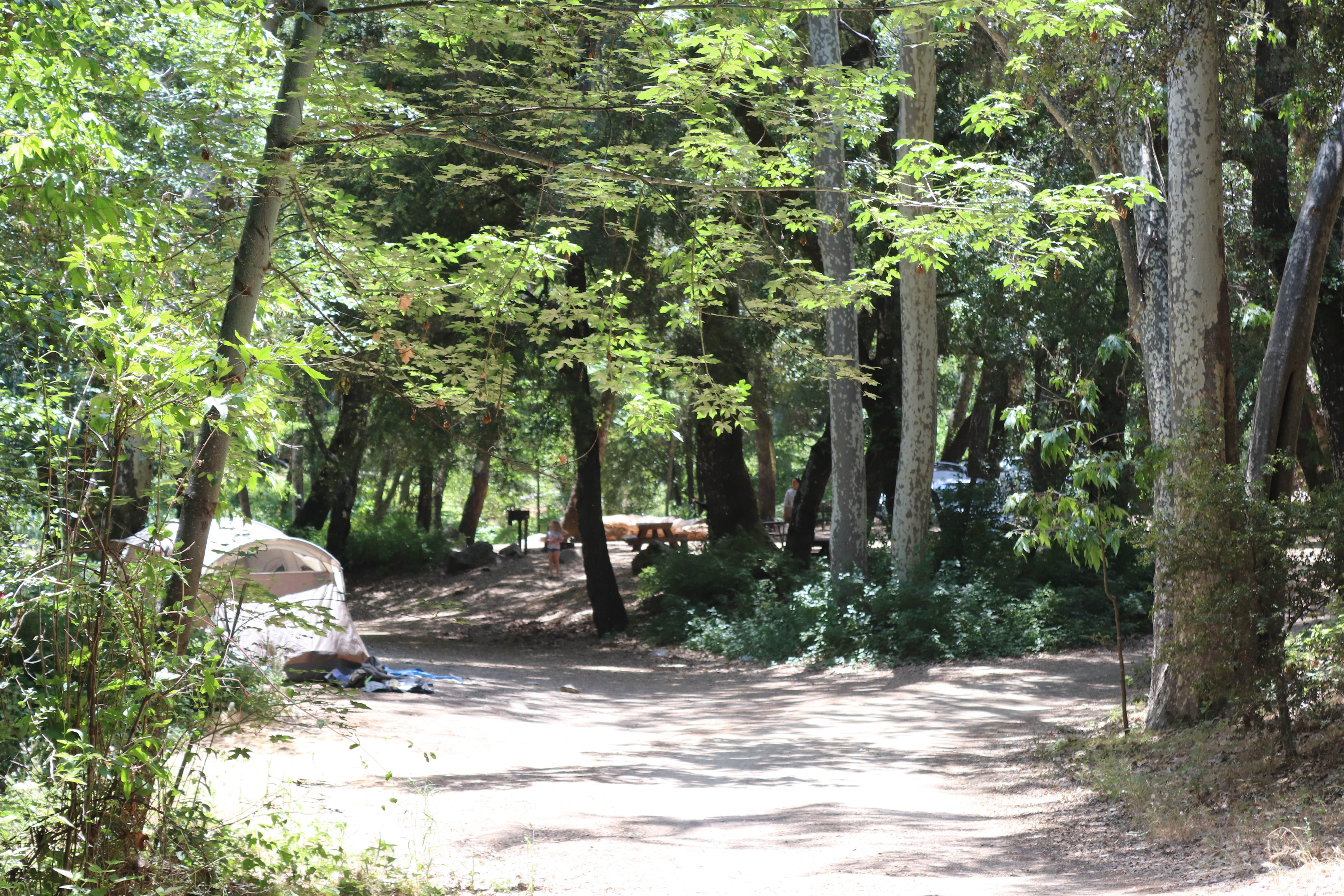 Camper submitted image from Nacimiento Campground - 3