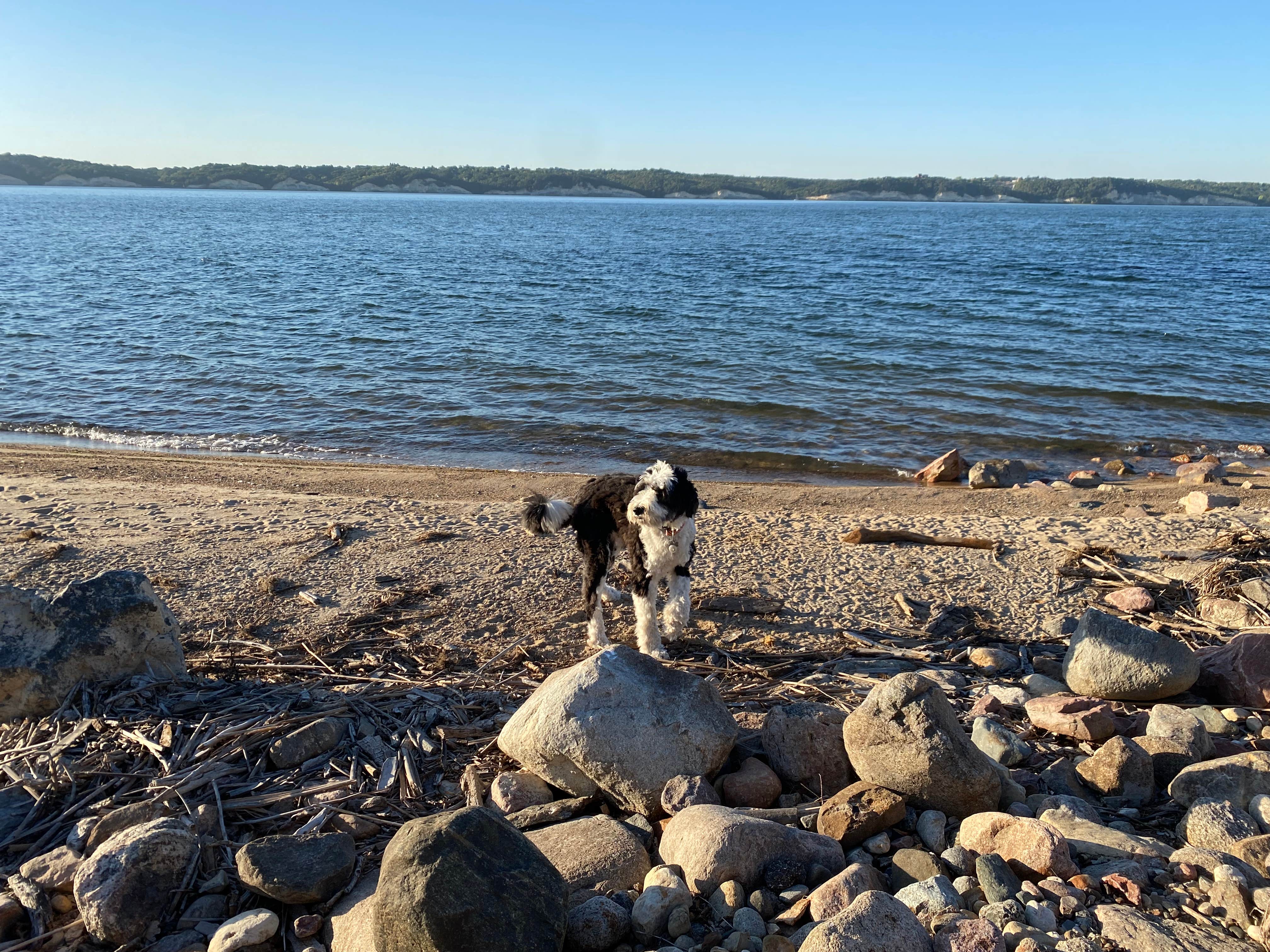 Heather M.'s photo of camping with pets at Yankton — Lewis And Clark Recreation Area near Royal, NE