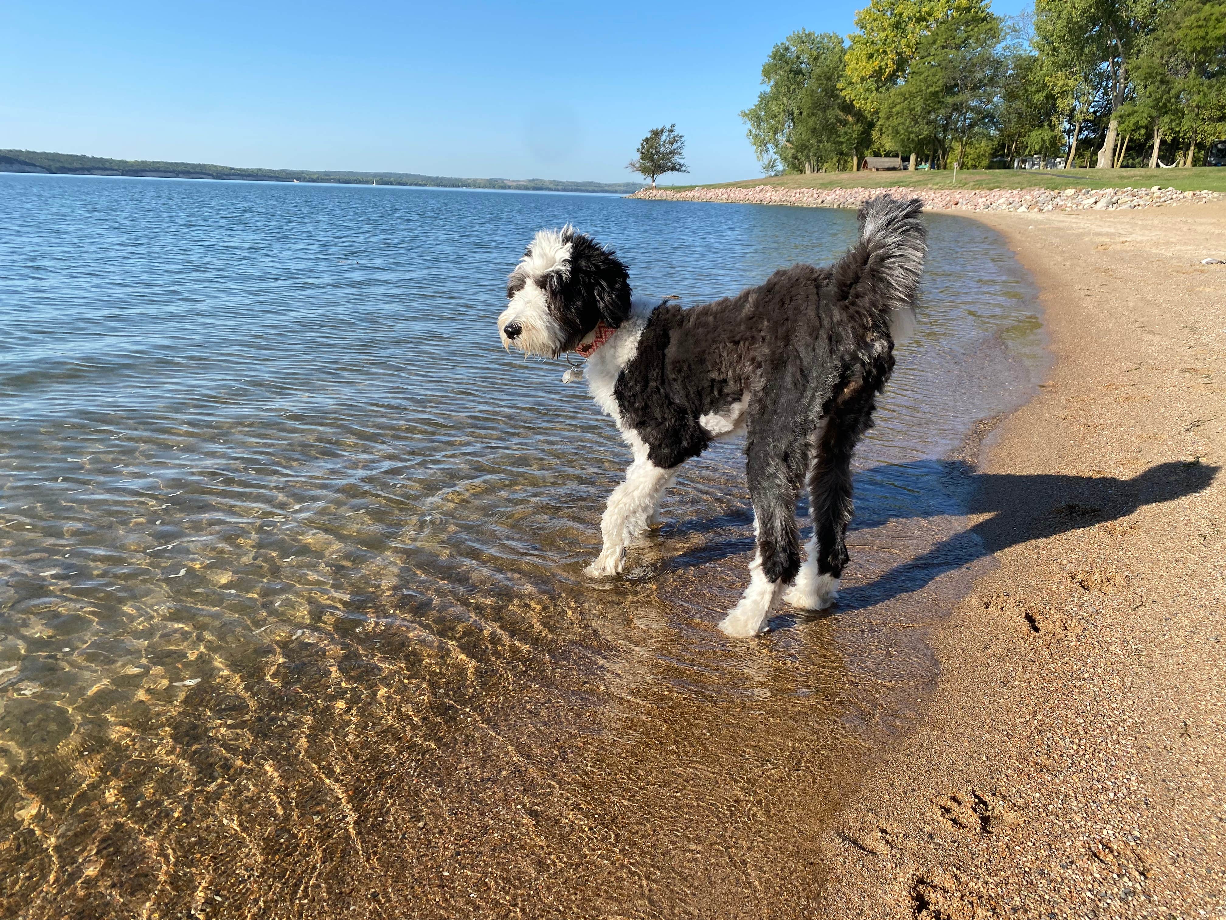 Heather M.'s photo of camping with pets at Yankton — Lewis And Clark Recreation Area near Niobrara, NE