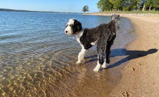 Heather M.'s photo of camping with pets at Yankton — Lewis And Clark Recreation Area near Niobrara, NE