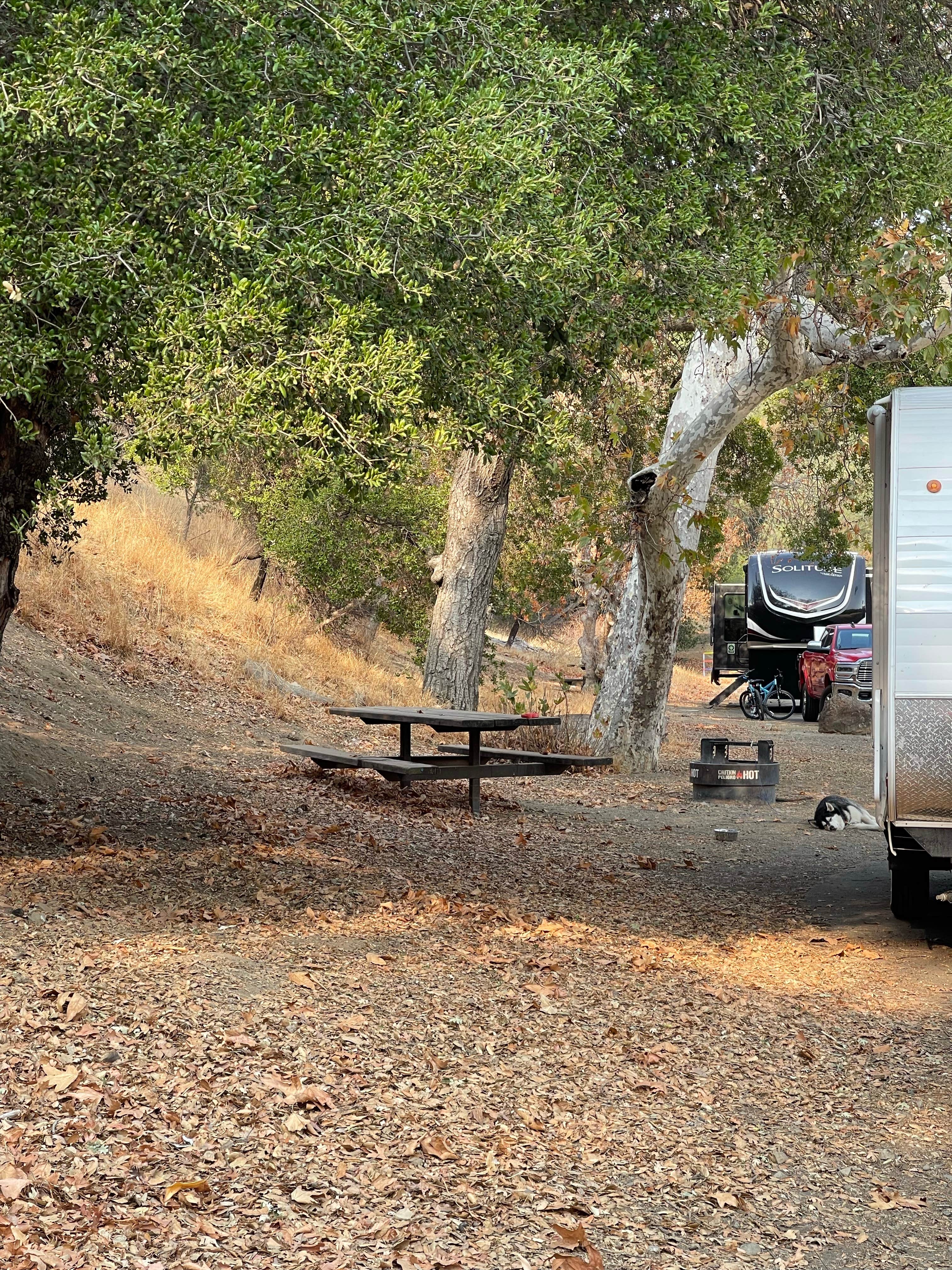 Camper submitted image from East Bay Regional Park District Del Valle Family Campground - 3